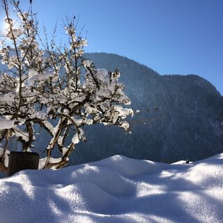 verschneite Winterlandschaft