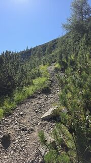 Fotografija s spletne strani Marc G. na poti