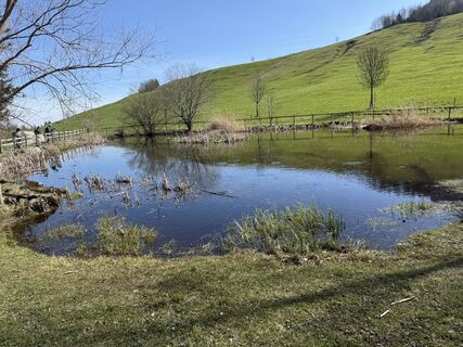 Fotografija s spletne strani Babajo na poti