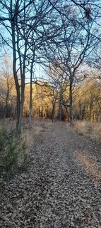 Foto von COSIMO SERRA entlang der Tour