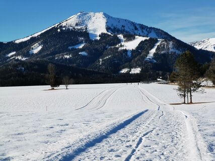 ..immer die Gemeindealpe im Blick