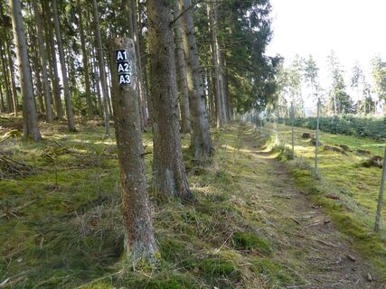 Die A-Rundwege rund um den Weddel in Medebach