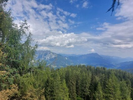 Fotografija s spletne strani Claraalbrecht01 na poti