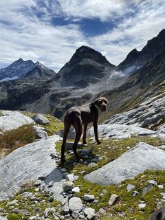 Photo de Judith Wilke le long du parcours