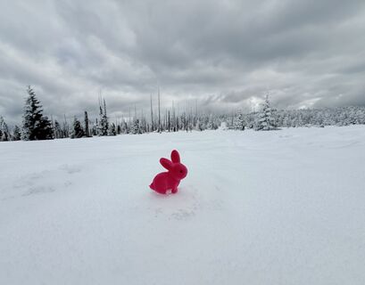 Fotografija s spletne strani Natur_erleben_dg na poti