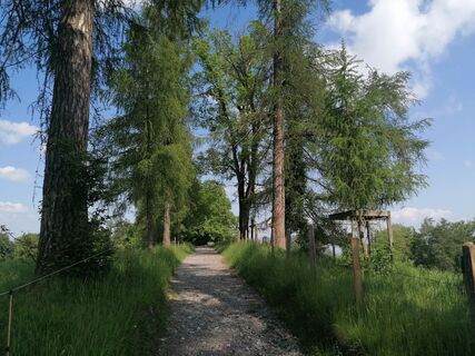 Foto fra luyyy underveis på turen