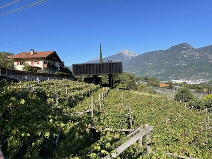 Fotografia z holgerwag na trase