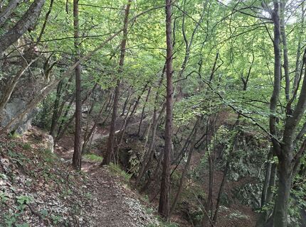 Fotografija s spletne strani k zsu na poti