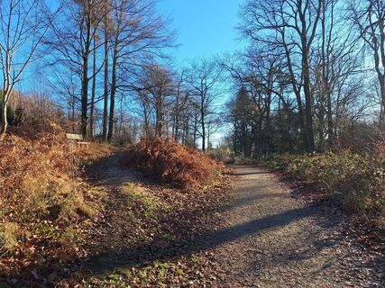 Foto von Mario Schmoltzi entlang der Tour