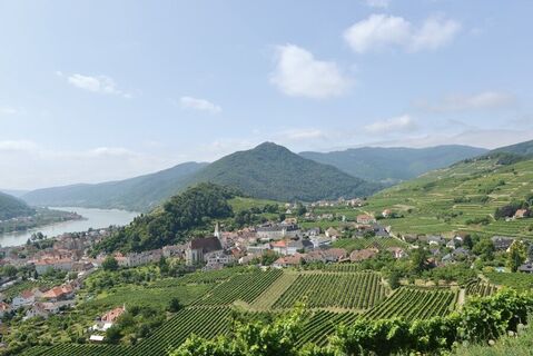 Spitz an der Donau © Donau Niederösterreich/Steve Haider