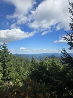 Fotografija s spletne strani Damir Habuš na poti