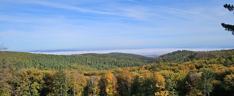 Fotografie z Tanjasusanna na trase