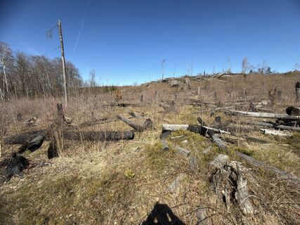 Foto von Steffen Kiesel entlang der Tour