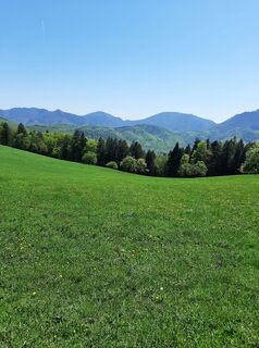 Photo de Oliver Vecera le long du parcours