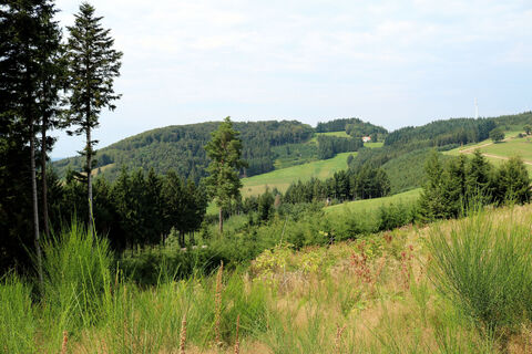 Blick vom Tännlebühl