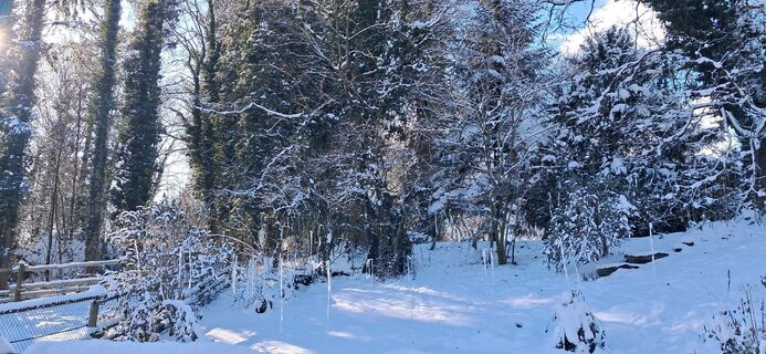 Fotografie z Buchegger Barbara na trase