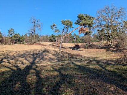 Photo de Matje Derks le long du parcours