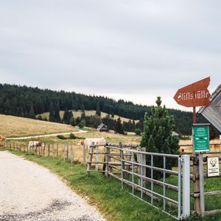 Der Weg zu uns