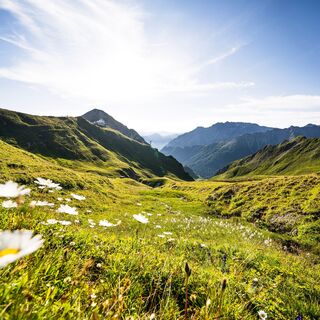 Blick in Richtung Alp Trider Sattel.