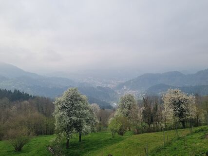 Fotografie z Grizli na trase