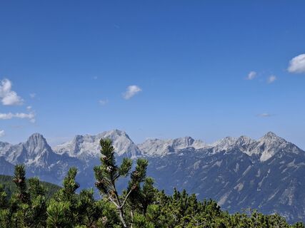 Fotografija s spletne strani Ursula Woegerer na poti