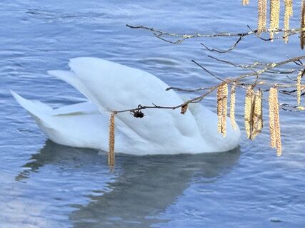 Photo from Conny Wicki along the tour