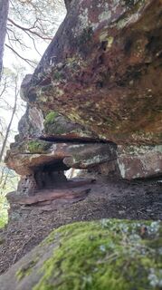 Photo de Yvonne Karcher le long du parcours