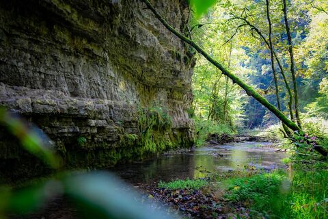Wutachschlucht