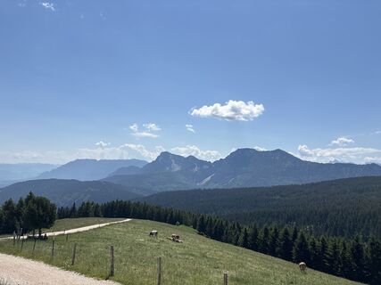 Fotografija s spletne strani Heinz Sperl na poti