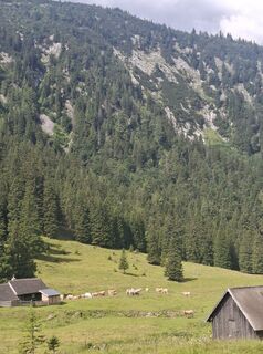 Foto von Michaela Schnetzinger entlang der Tour