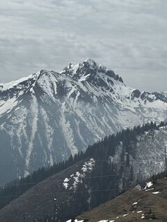 Foto von Gizmo 81 entlang der Tour