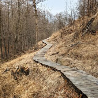 Holzsteg über Feuchtgebiete
