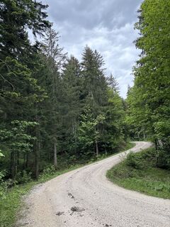 Foto von Heinz Sperl entlang der Tour