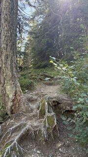 Foto von Michistrohmeir entlang der Tour