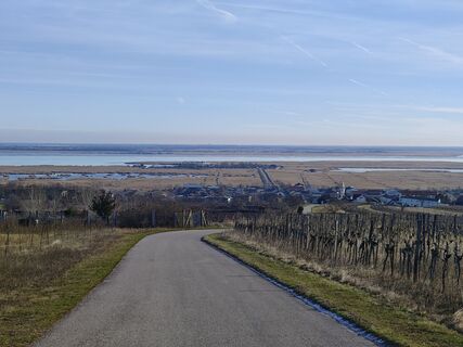 Photo de Sabine le long du parcours
