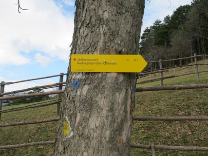 Payerbach - Bodenwiese