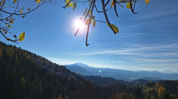Foto de Regina Fleischmann a lo largo del recorrido