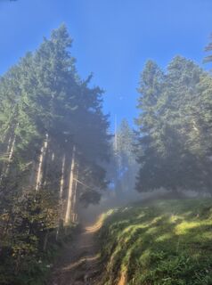 Photo de Markus Christen le long du parcours