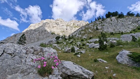 Foto de Sase Dinev a lo largo del recorrido