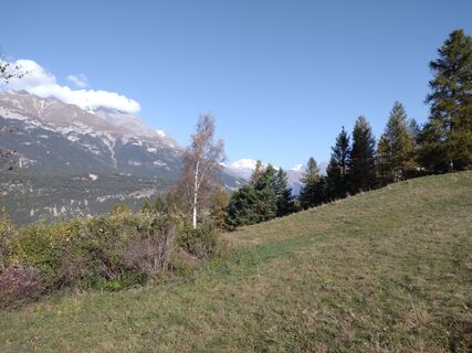 Foto von Pacodoe entlang der Tour