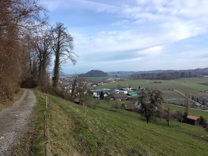 Fotografia z Herr Dachs na trase