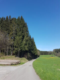 Weg am Schilpenbühl