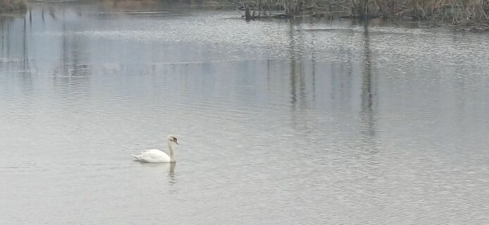 Foto de Thomas Michalek 1 a lo largo del recorrido