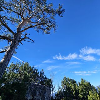 Foto von Alfred Quack entlang der Tour