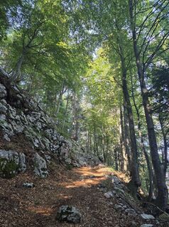 Foto von brimo entlang der Tour