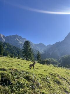 Fotografia z Tanja Prexl na trase