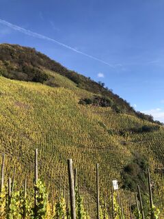 Photo de Ruud Oligschlager le long du parcours