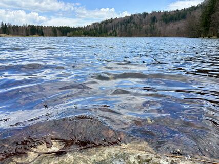 Foto van Dani Geiger / Natur_erleben_dg langs de tour