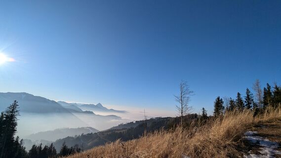 Foto von Ziegler Em1304 entlang der Tour