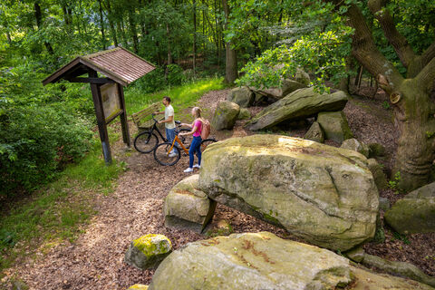 Großsteingrab auf Bruneforths Esch, Stavern – Radfahren Hümmling ©Emsland Tourismus GmbH (1)